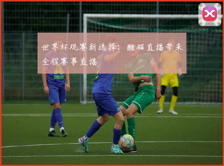 世界杯观赛新选择：酷猫直播带来全程赛事直播