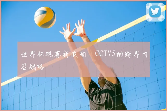 世界杯观赛新浪潮：CCTV5的跨界内容战略