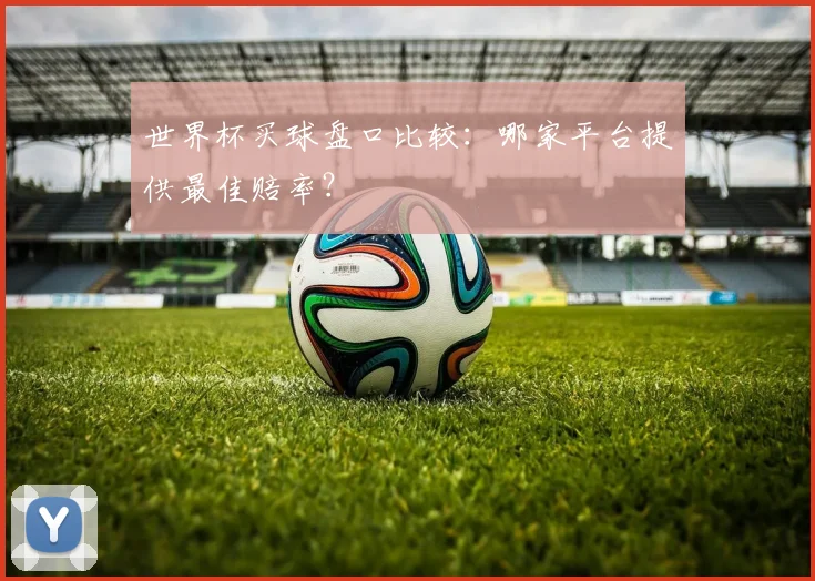世界杯买球盘口比较:哪家平台提供最佳赔率?
