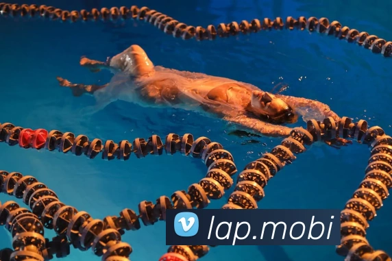 开云手机登录官网服务体系